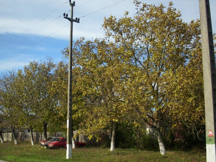 DSCI0559