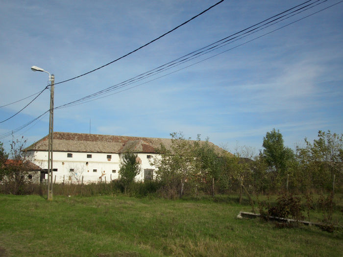 DSCI0561