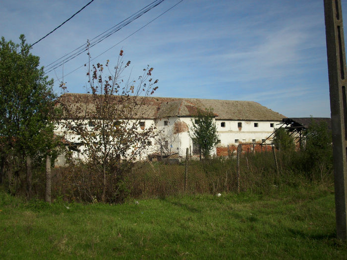 DSCI0562