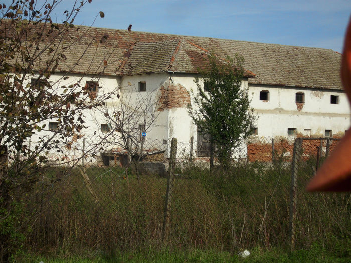 DSCI0563