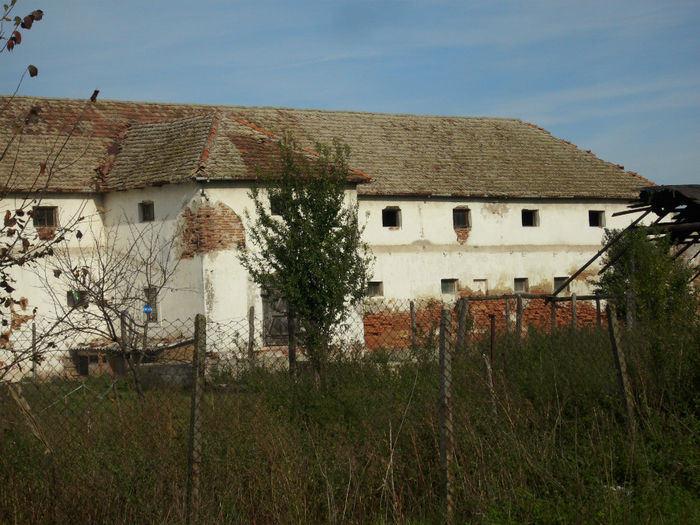 DSCI0564