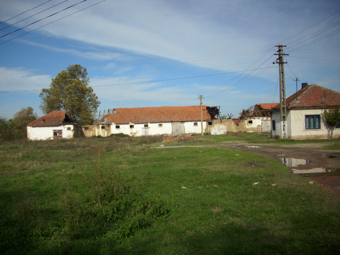 DSCI0567