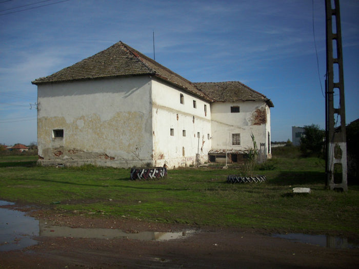 DSCI0568