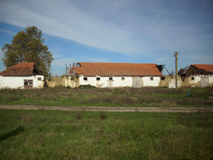 DSCI0569