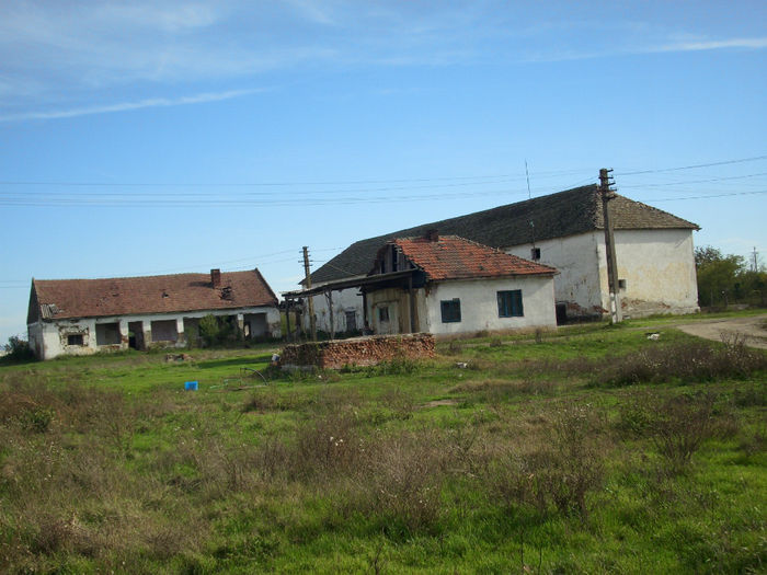 DSCI0572