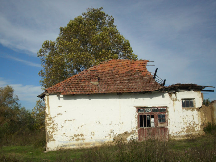 DSCI0574