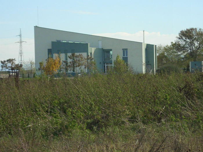 DSCI0601