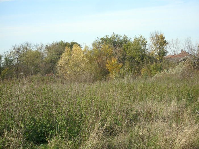 DSCI0607