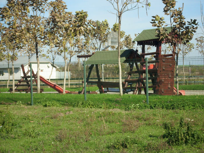 DSCI0618