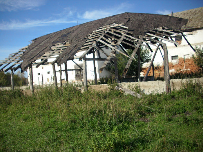 DSCI0631