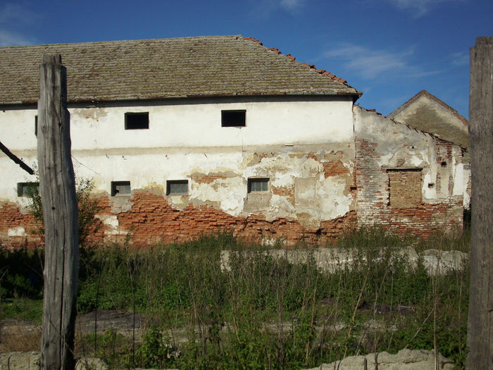 DSCI0634