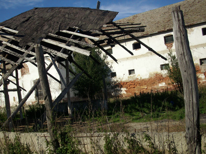DSCI0635
