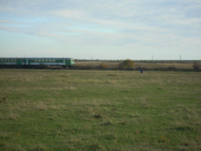 DSCI0704