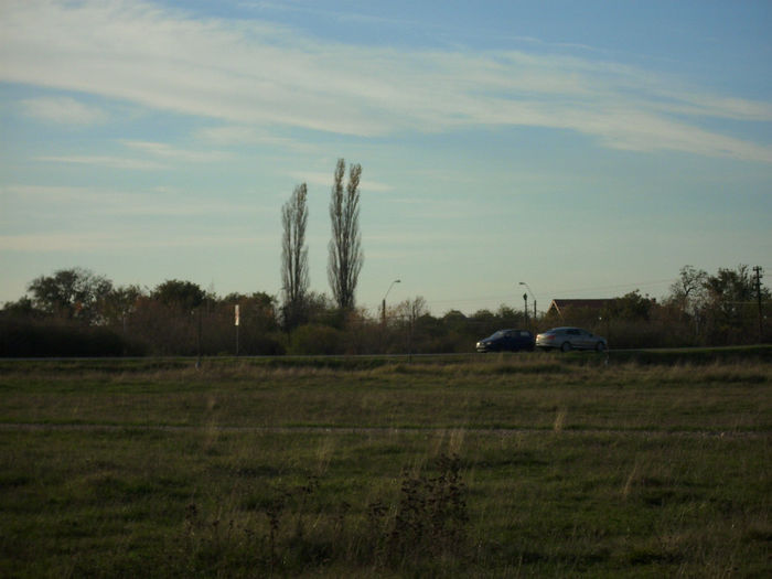 DSCI0732
