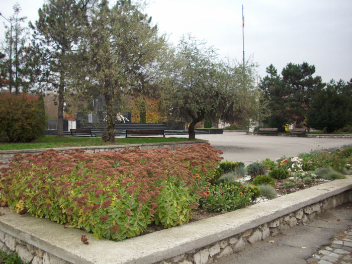 DSCI0853