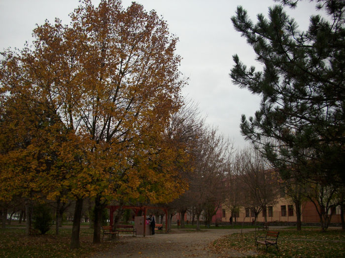 DSCI0857