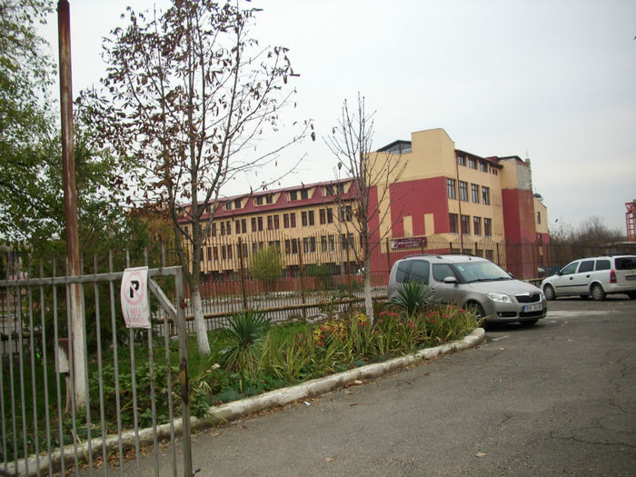 DSCI0862