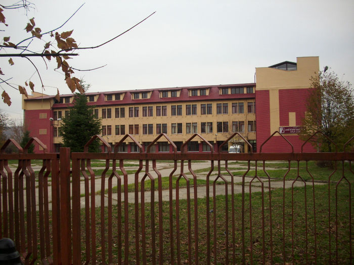 DSCI0863