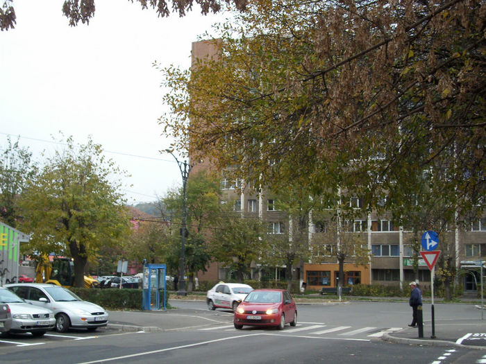 DSCI0869