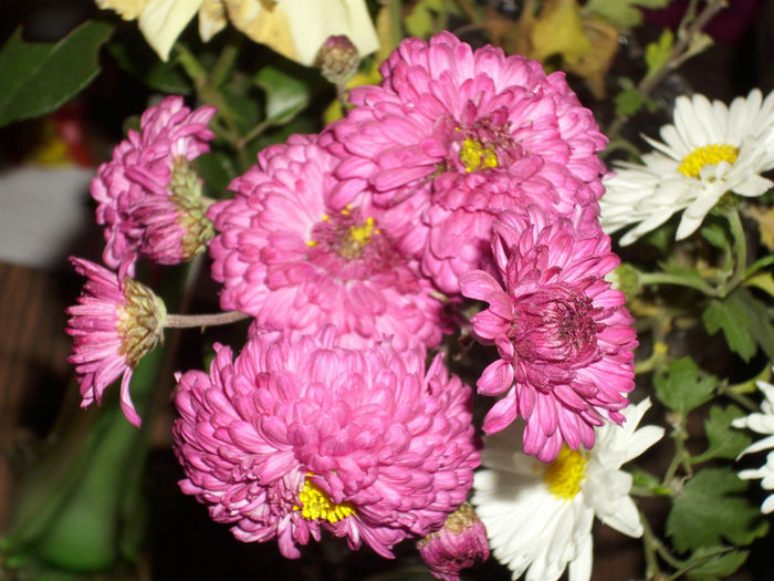 DSCI0894