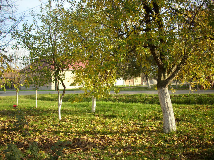 DSCI0925