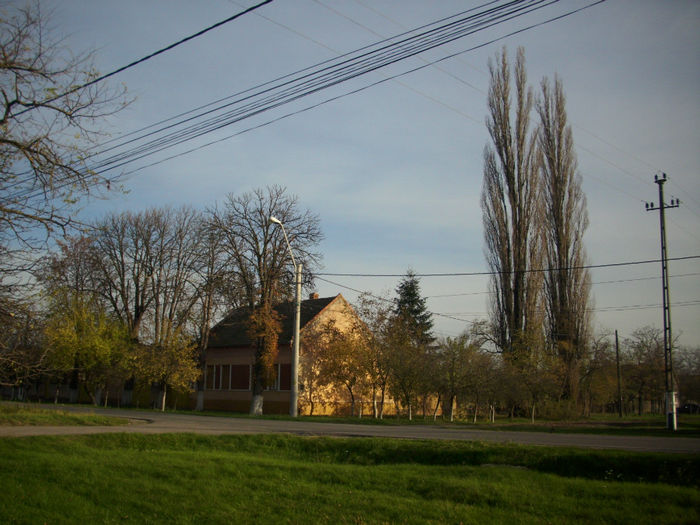 DSCI0936