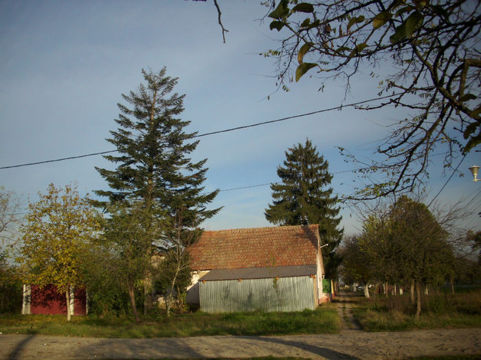 DSCI0937