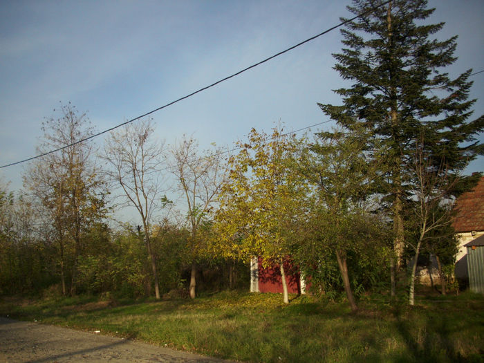 DSCI0942