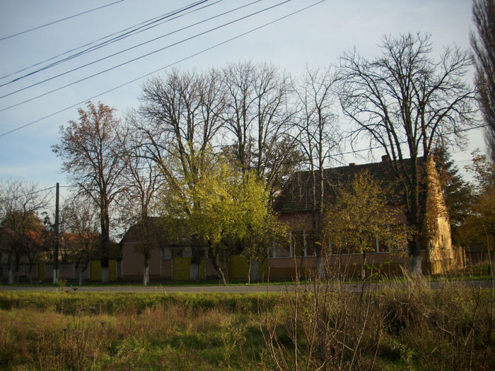 DSCI0943