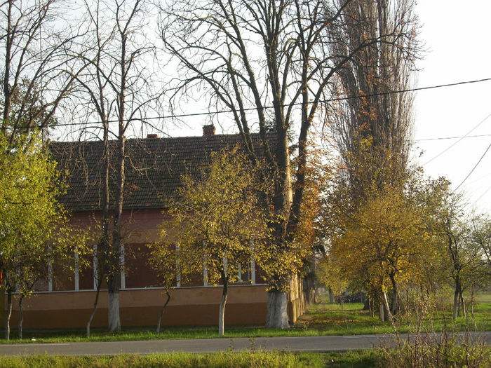 DSCI0944