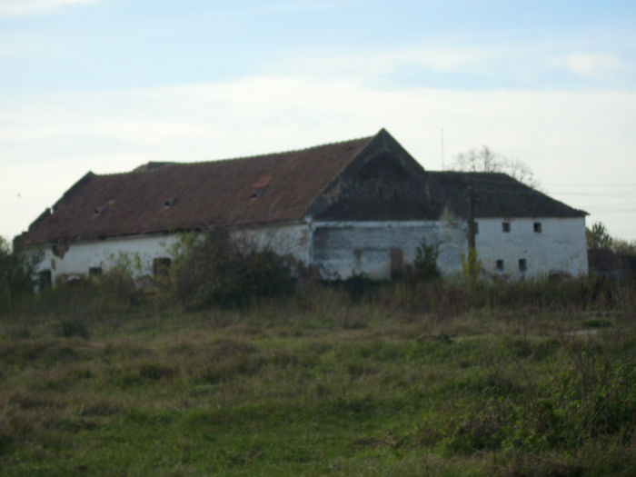 DSCI0965