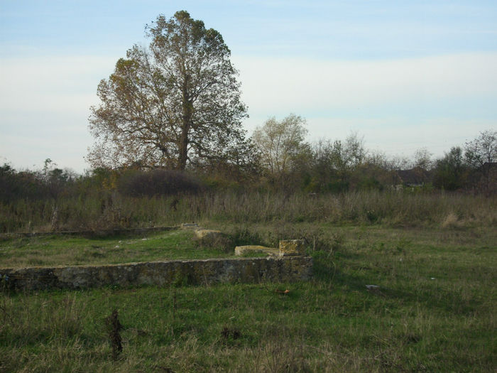 DSCI0967