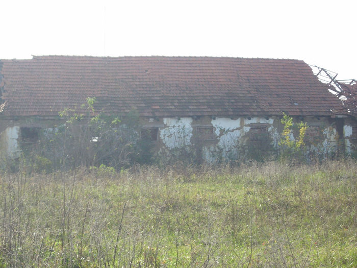 DSCI0991