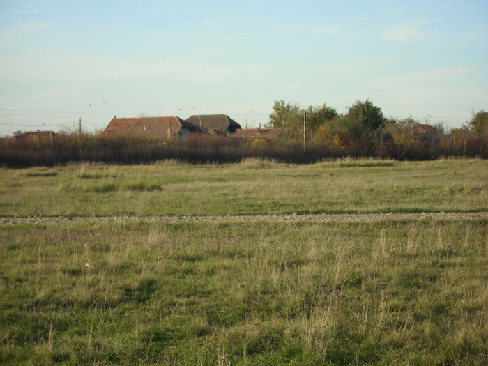 DSCI0724