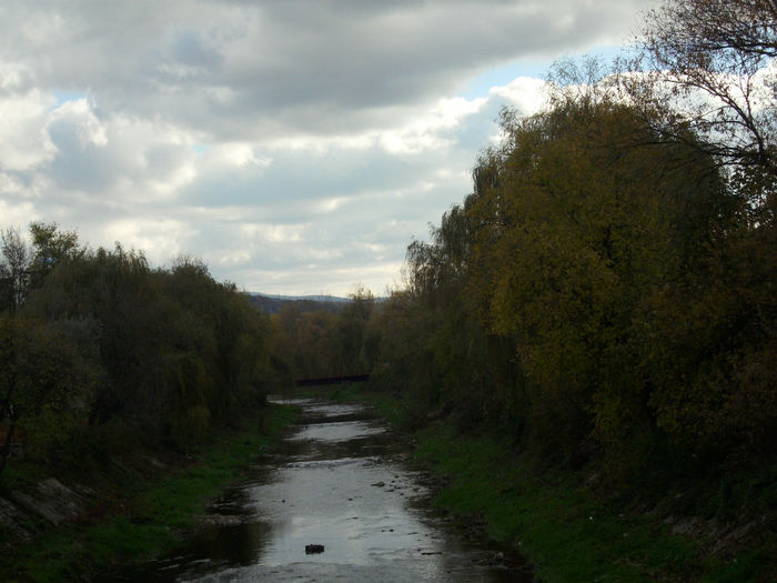 DSCI0828