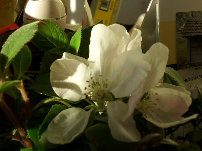 DSCI0282