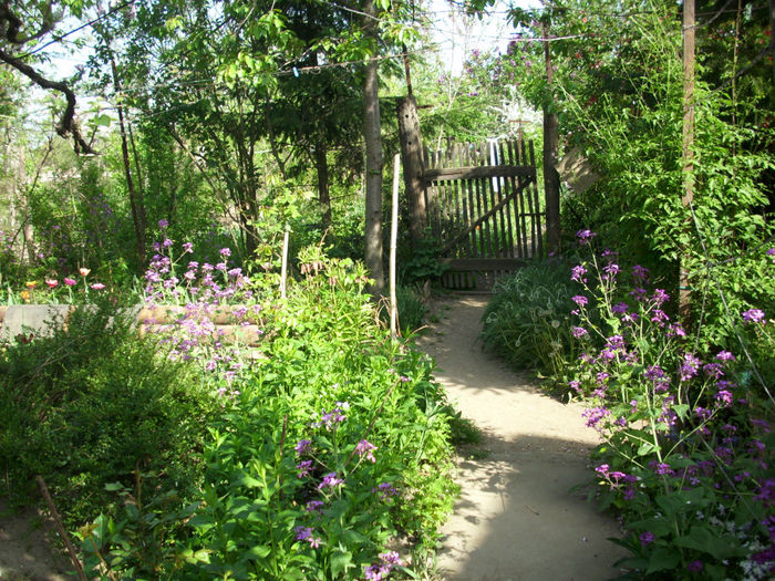 DSCI0405 - 2013 aprilie mai