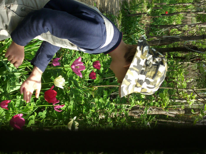 DSCI0414 - 2013 aprilie mai