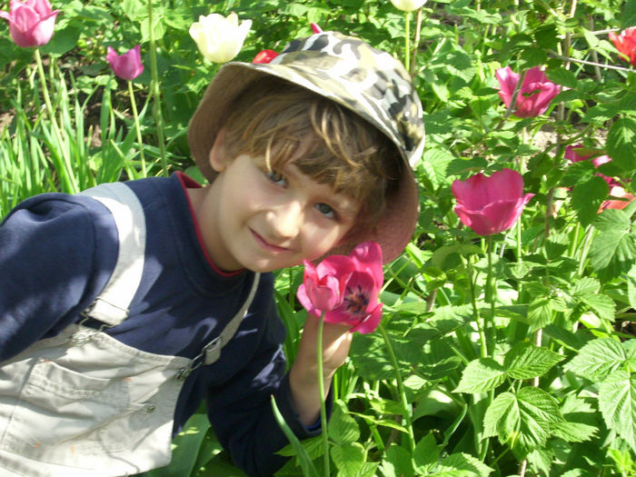 DSCI0415 - 2013 aprilie mai