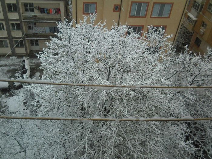 Prima zapada din acest an !!!