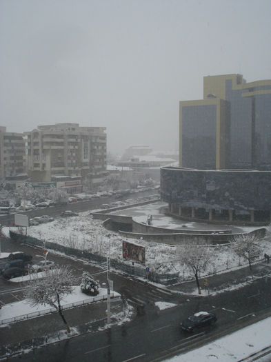 DSC05009 - Winters 2013 ioniss ZQ1