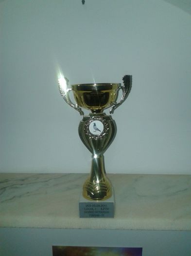 LOC 1 IASI DERBY PUI CU PORUMBELUL-0739346.11M - REZULTATE - TROFEE