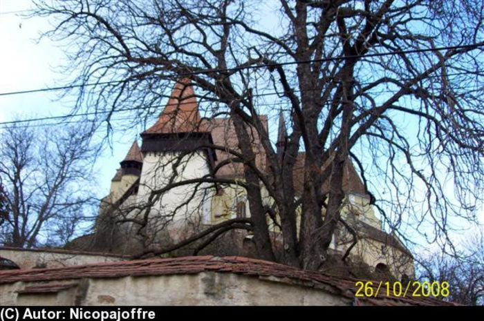 TOAMNA  LA BIERTAN. - DONARIUL de la Biertan Padurea Chimdru