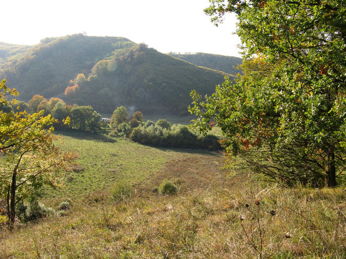 VEDERE DE PE COLINA A MLASTINII. - DONARIUL de la Biertan Padurea Chimdru