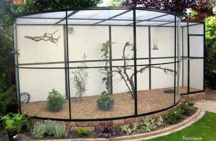 1385234_651345818220318_1970629734_n