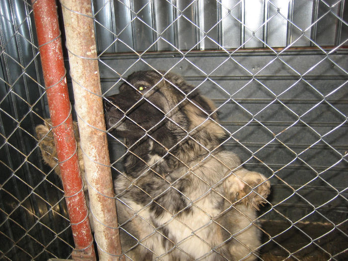 Picture 046