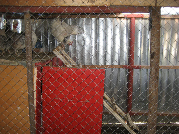 Picture 065