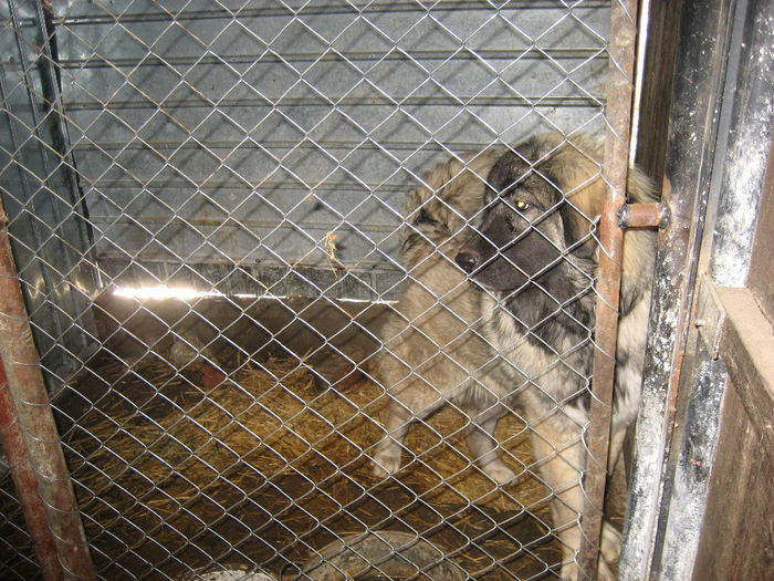 Picture 066