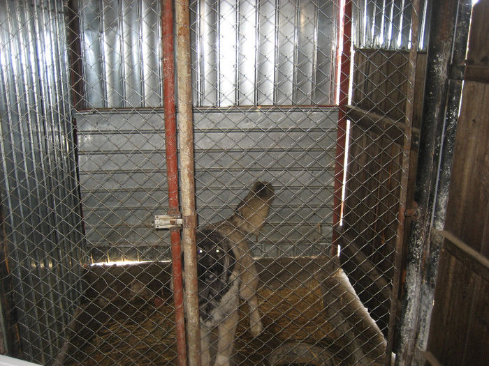 Picture 068