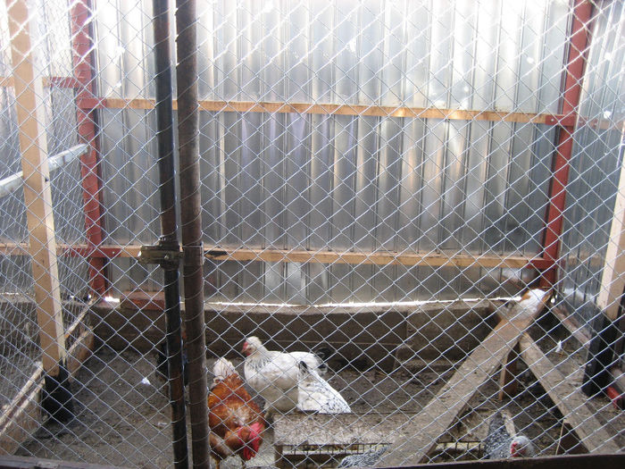 Picture 071